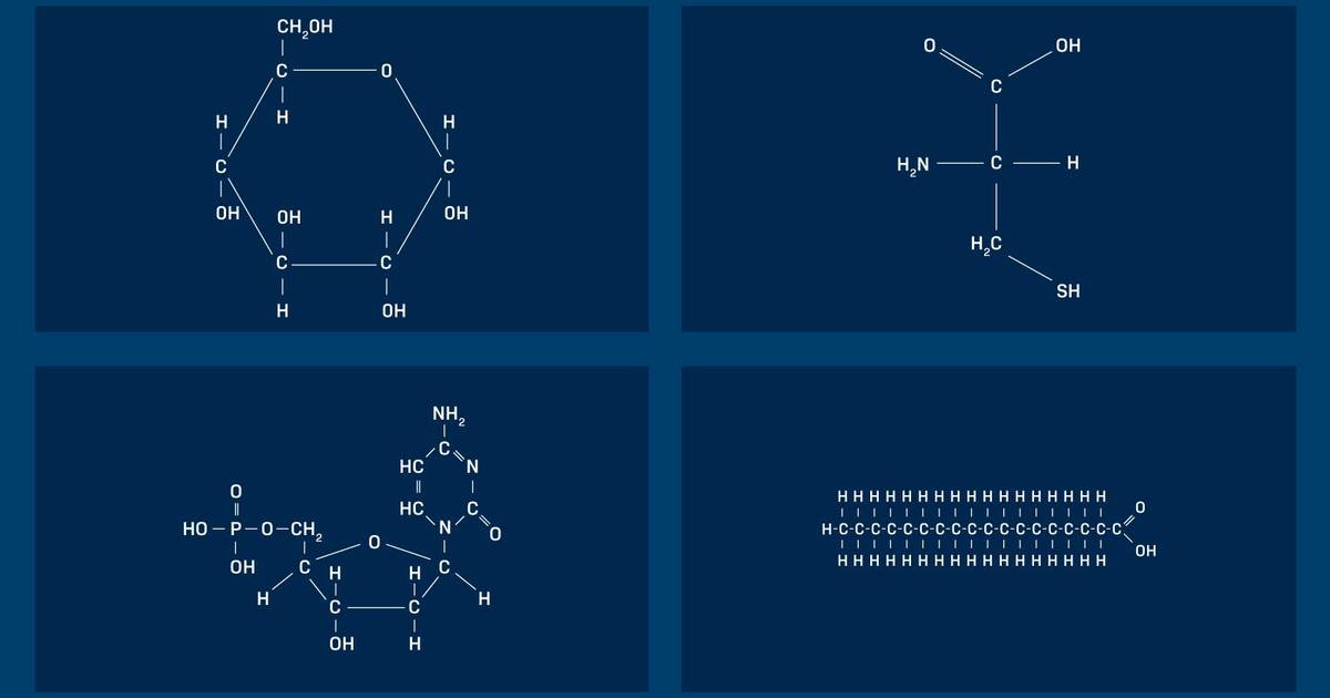 Macromolecule Structure and Function