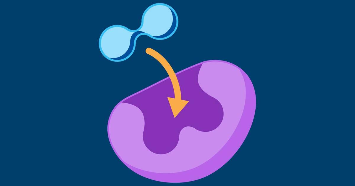 Zinc and Alcohol Dehydrogenase
