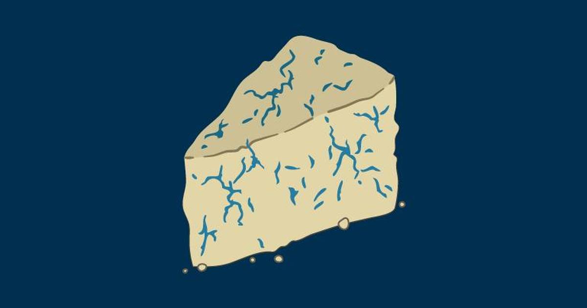 Exploring How Humans Harness the Power of Prokaryotes