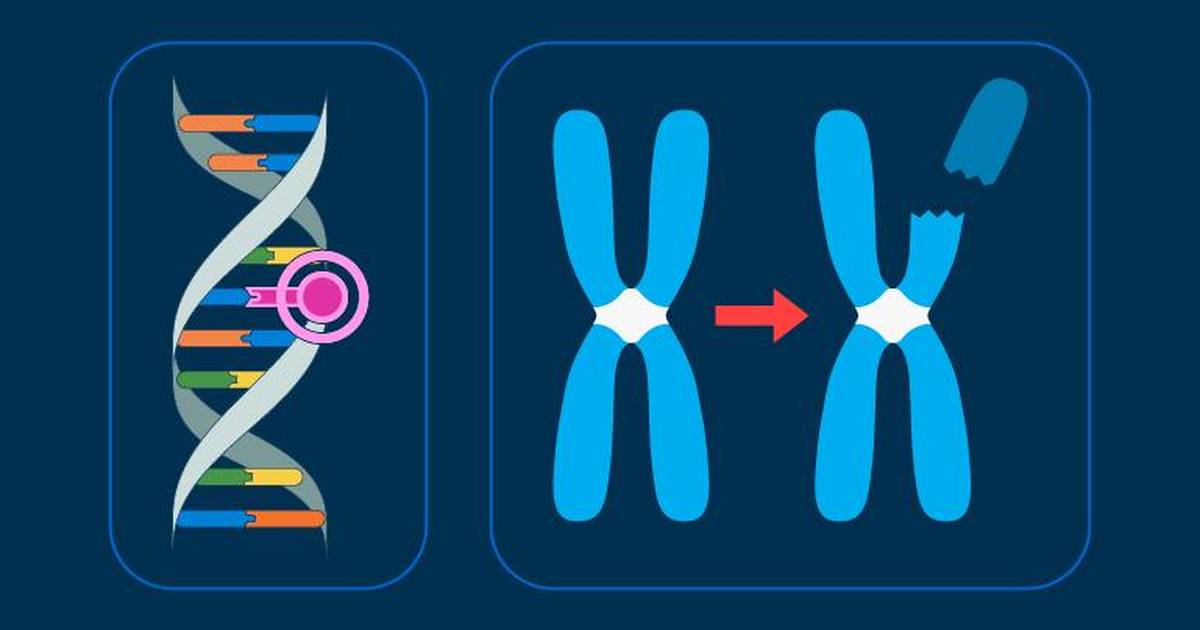 DNA Mutations 101