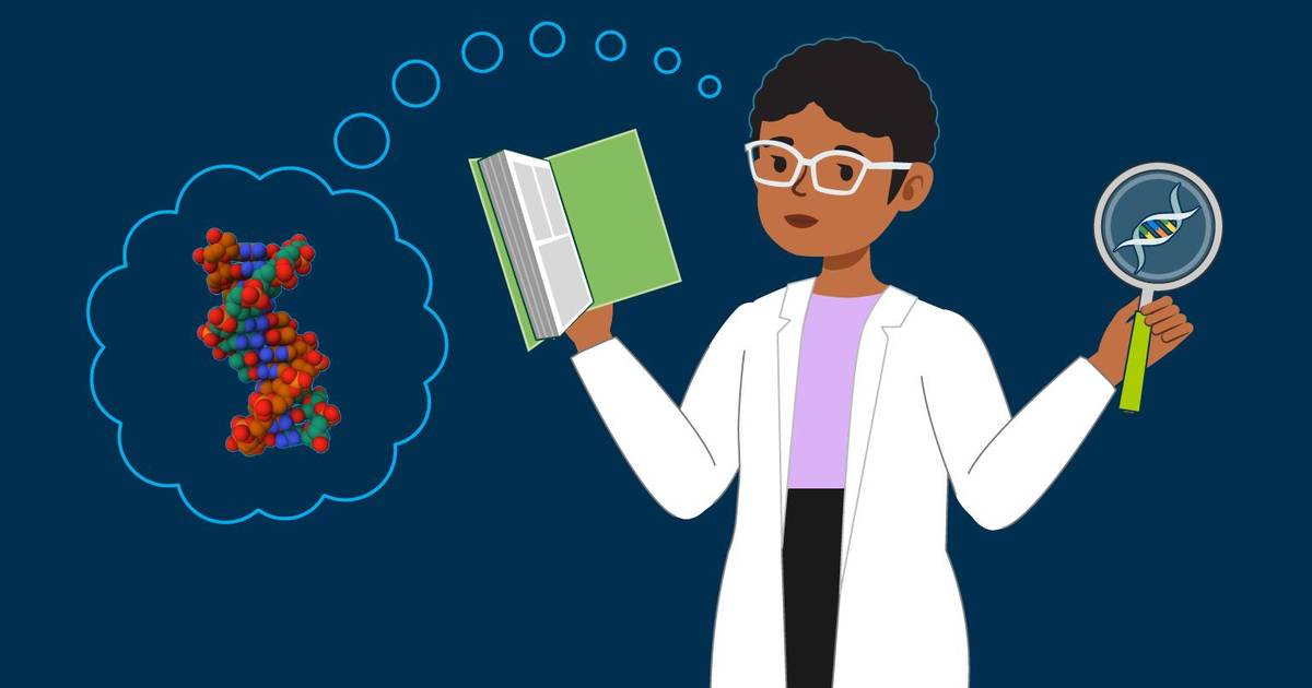 Modeling DNA
