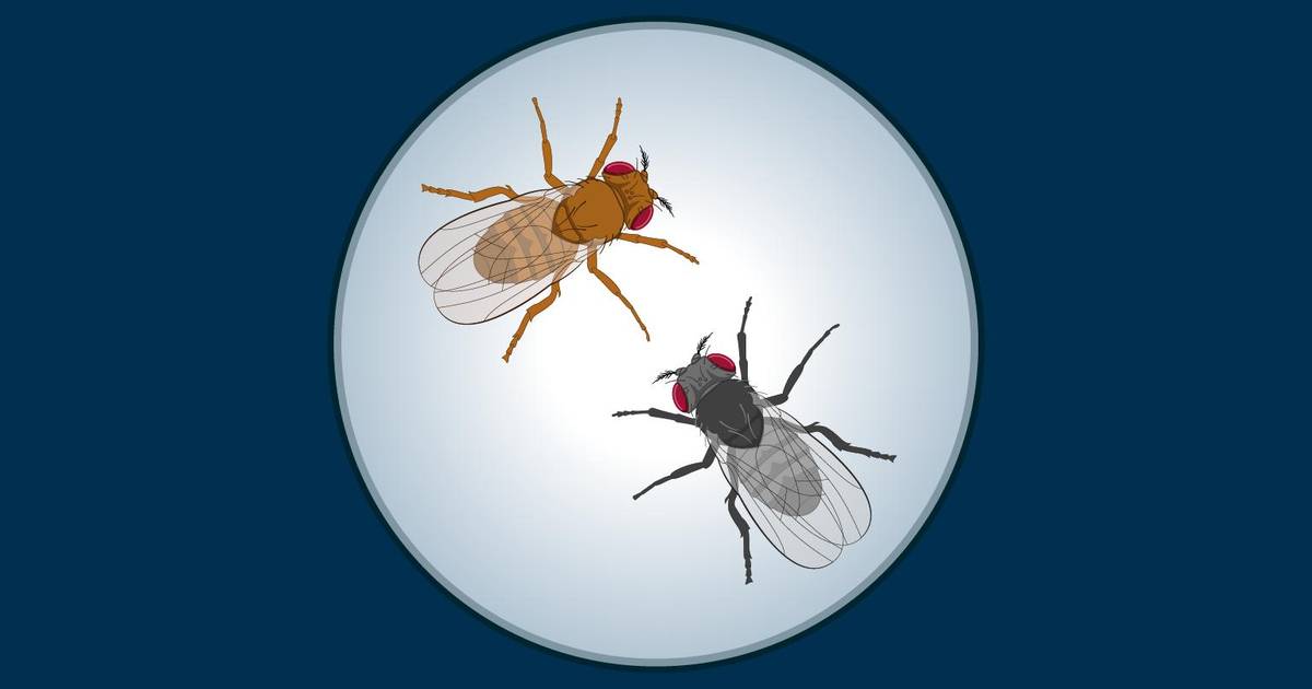 The Central Dogma of Molecular Biology