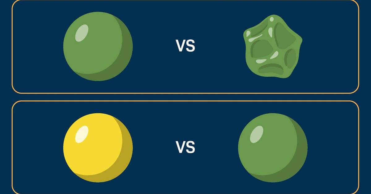 What Causes Different Shapes and Colors in Pea Seeds?