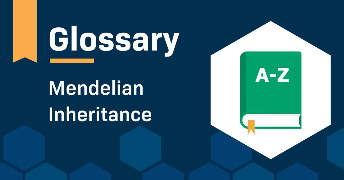 Glossary: Mendelian Inheritance