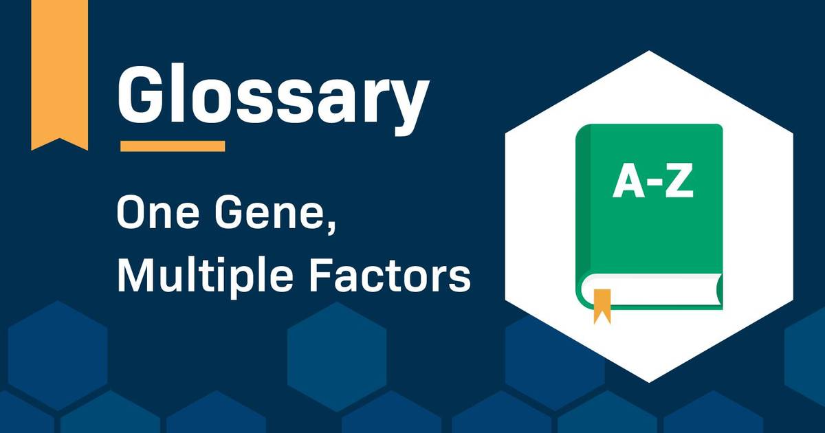 Glossary: One Gene, Multiple Factors