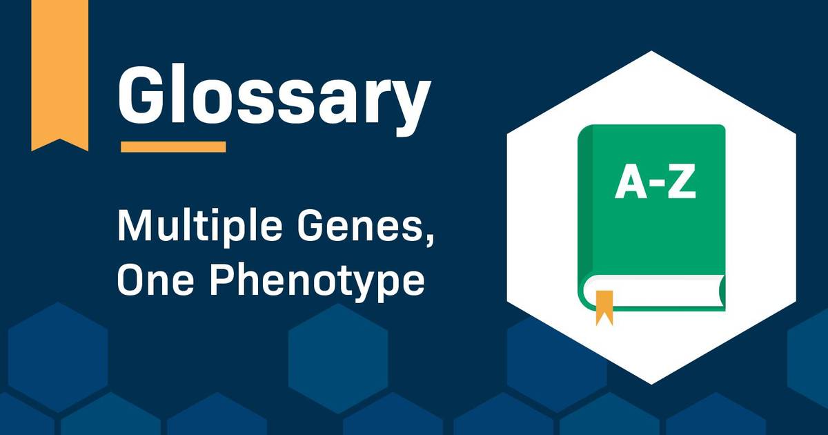 Glossary: Multiple Genes, One Phenotype