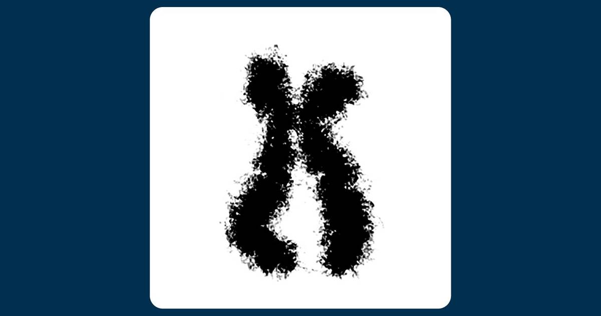 Question Set: Eukaryotic Chromosome Structure