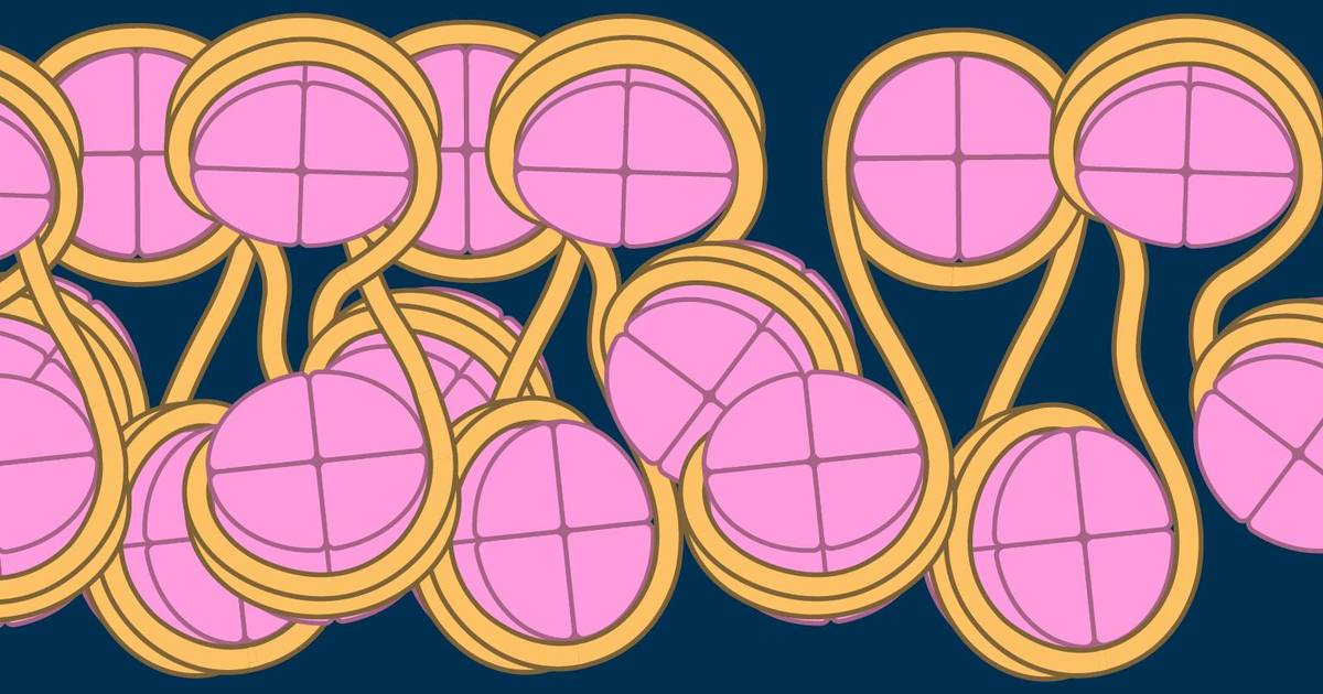 Eukaryotic Chromosomes: The 30-nm Fiber
