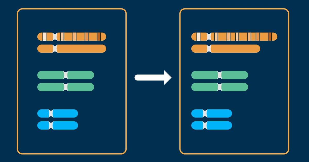 Chromosomal Mutations: Rearrangements
