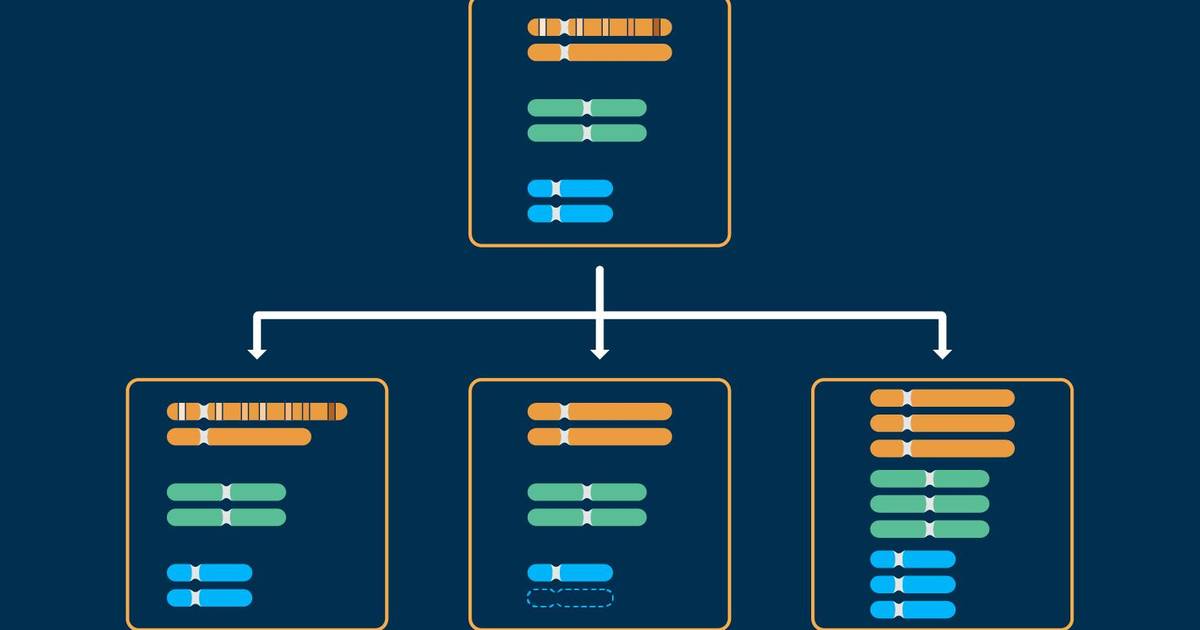 Types of Chromosome Mutations