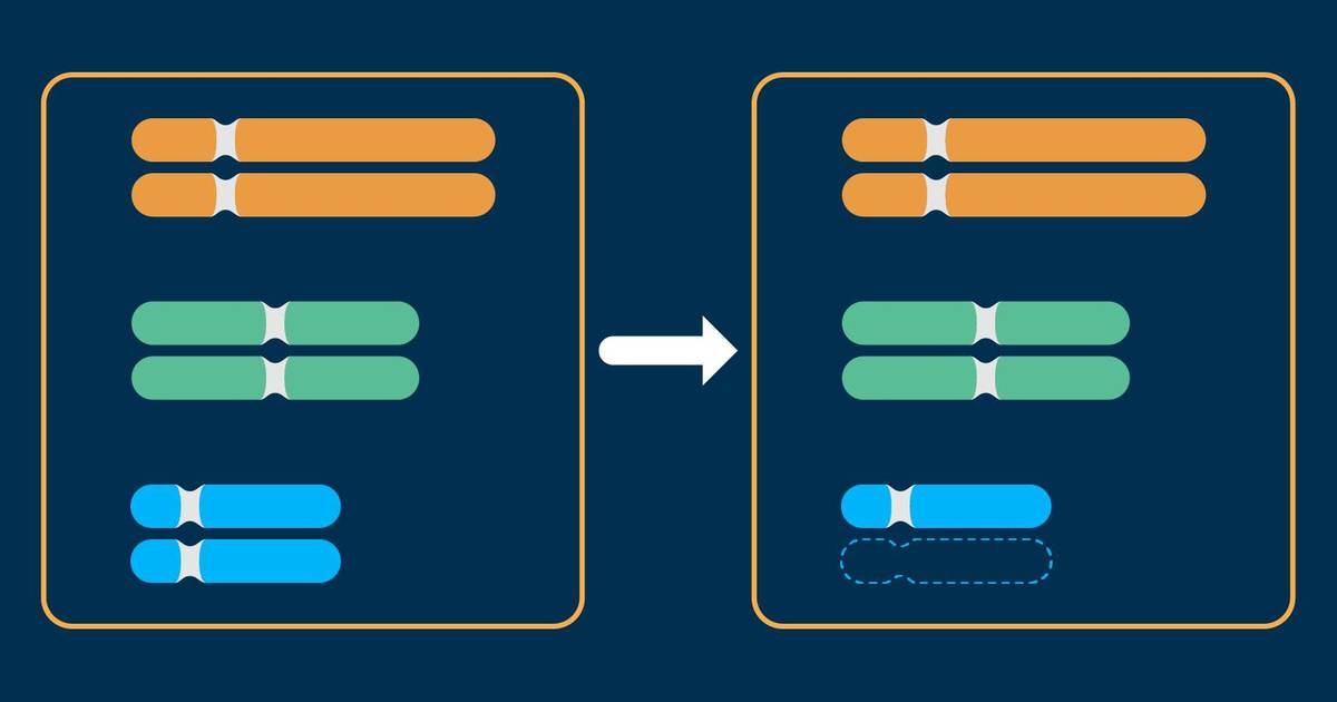 Chromosomal Mutations: Aneuploidy