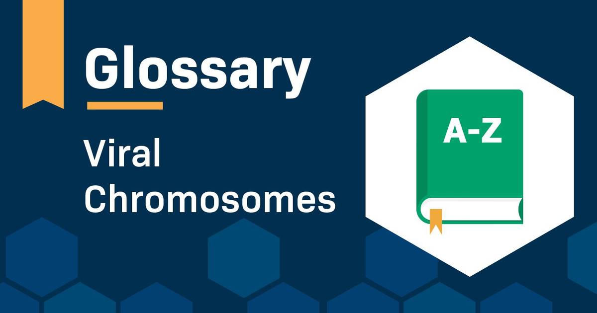 Glossary: Viral Chromosomes
