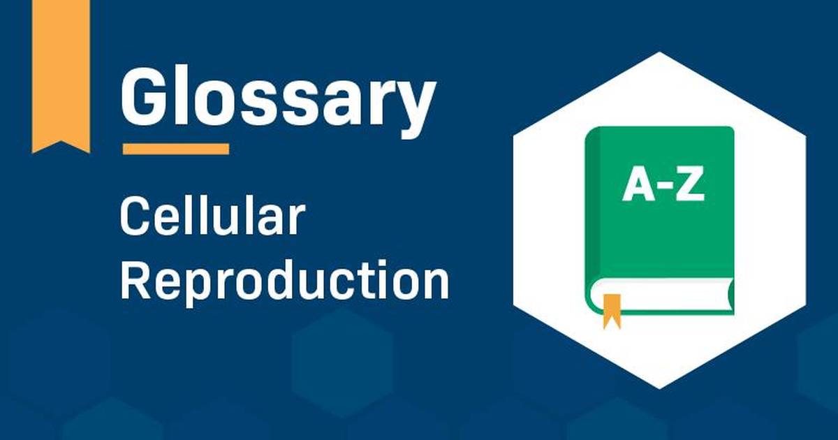 Glossary: Cellular Reproduction