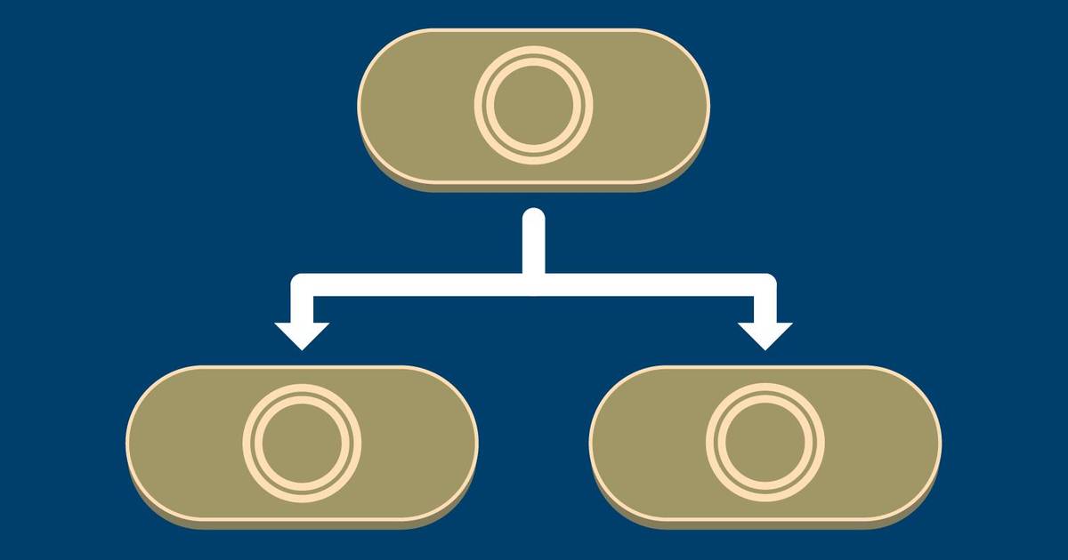 Prokaryotic Cells Divide by Binary Fission