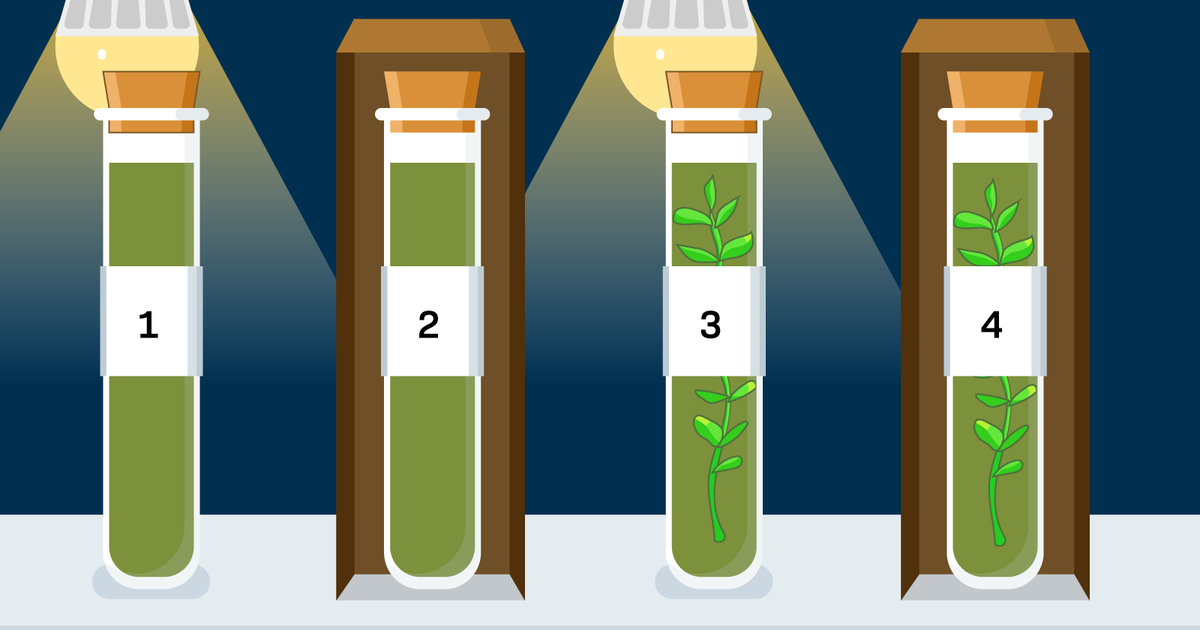Research Foundations