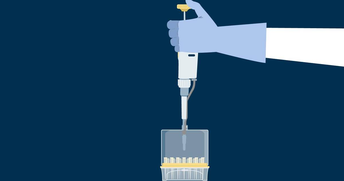 Basic Lab Skills - Pipetting and Solutions