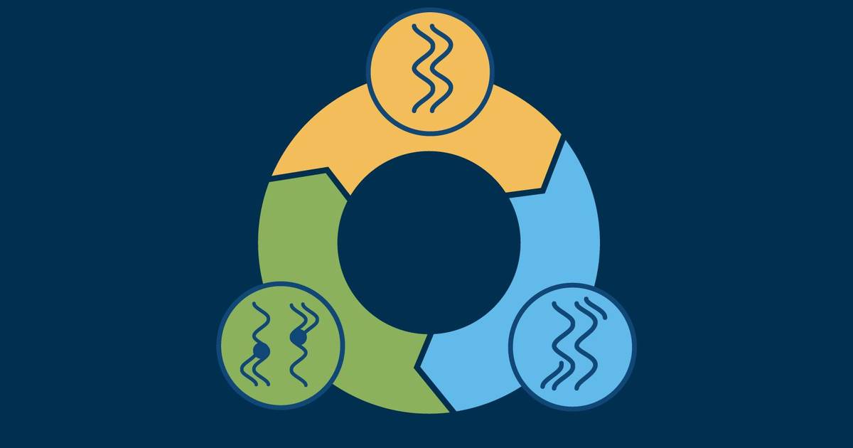 Basic Lab Skills - Manipulating DNA