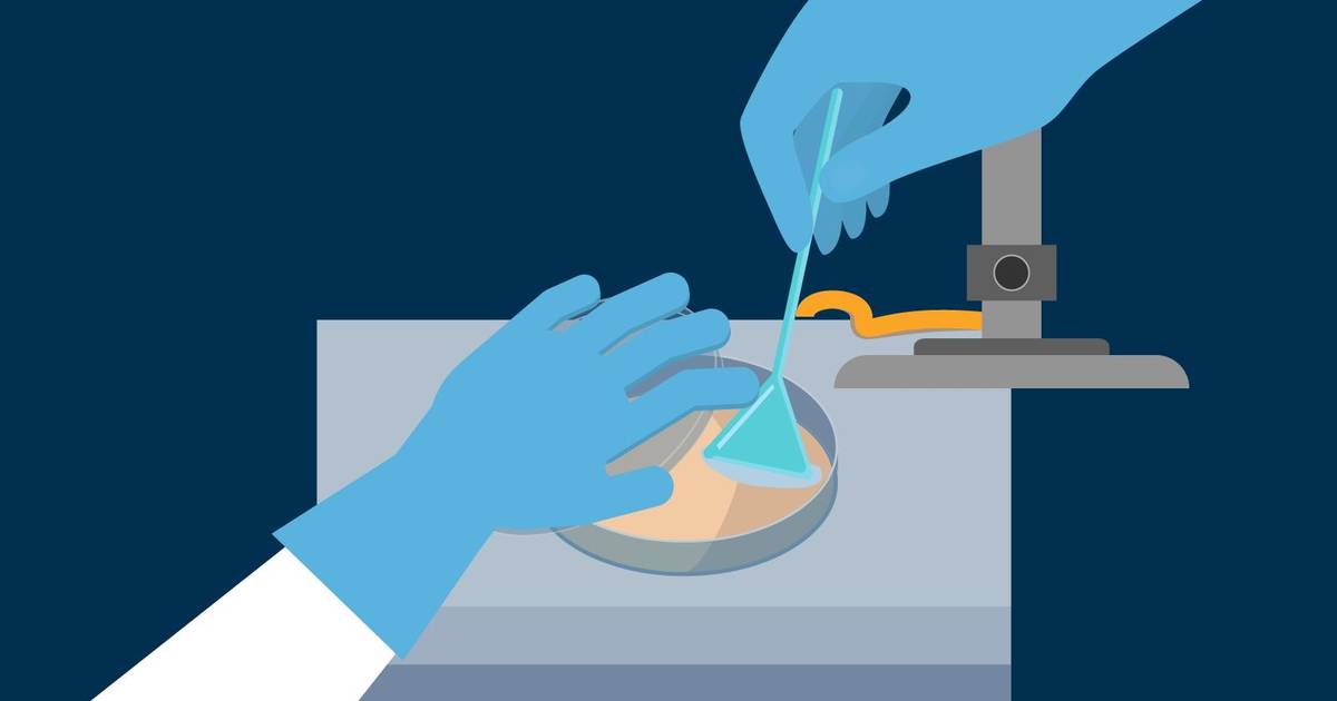 Basic Lab Skills - Working With Cells