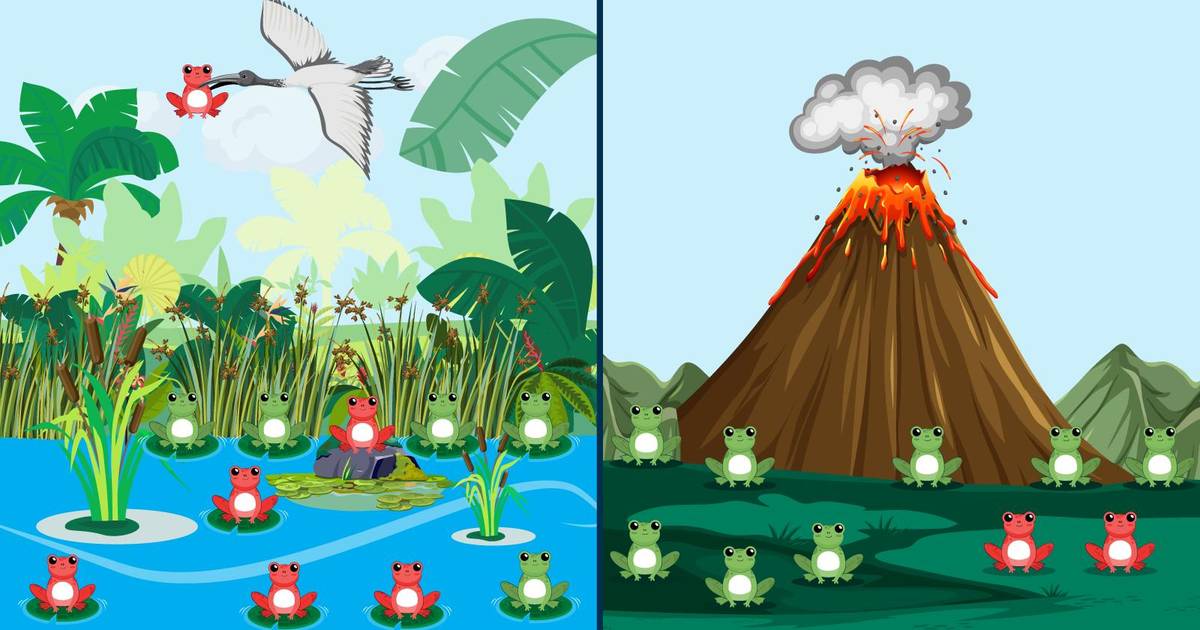 Evolution Mechanisms: Natural Selection and Genetic Drift