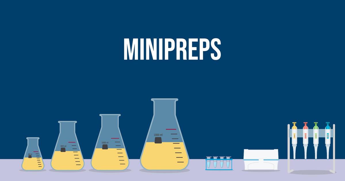 Extracting Plasmid DNA: How To Do a Miniprep