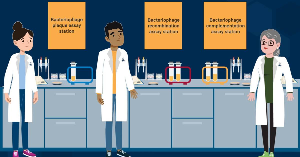 Experimental Studies of Gene Structure Using Bacteriophages: Core Concepts
