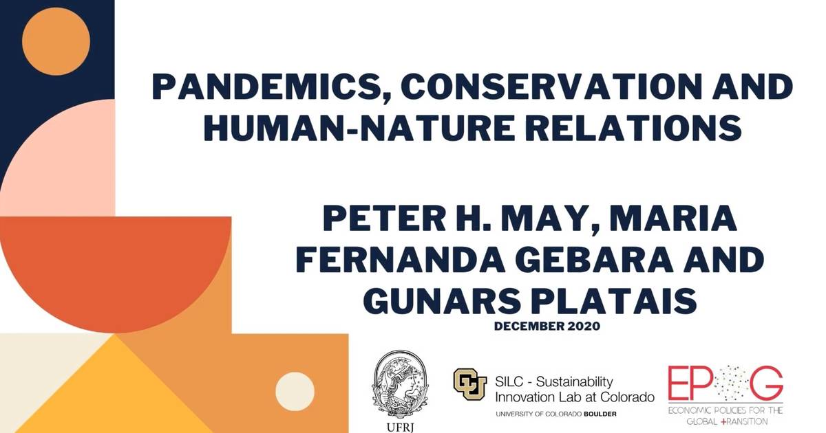 Pandemics, conservation and human nature relations