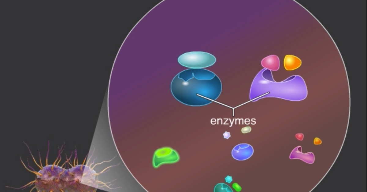 Microbial Enzymes and Us
