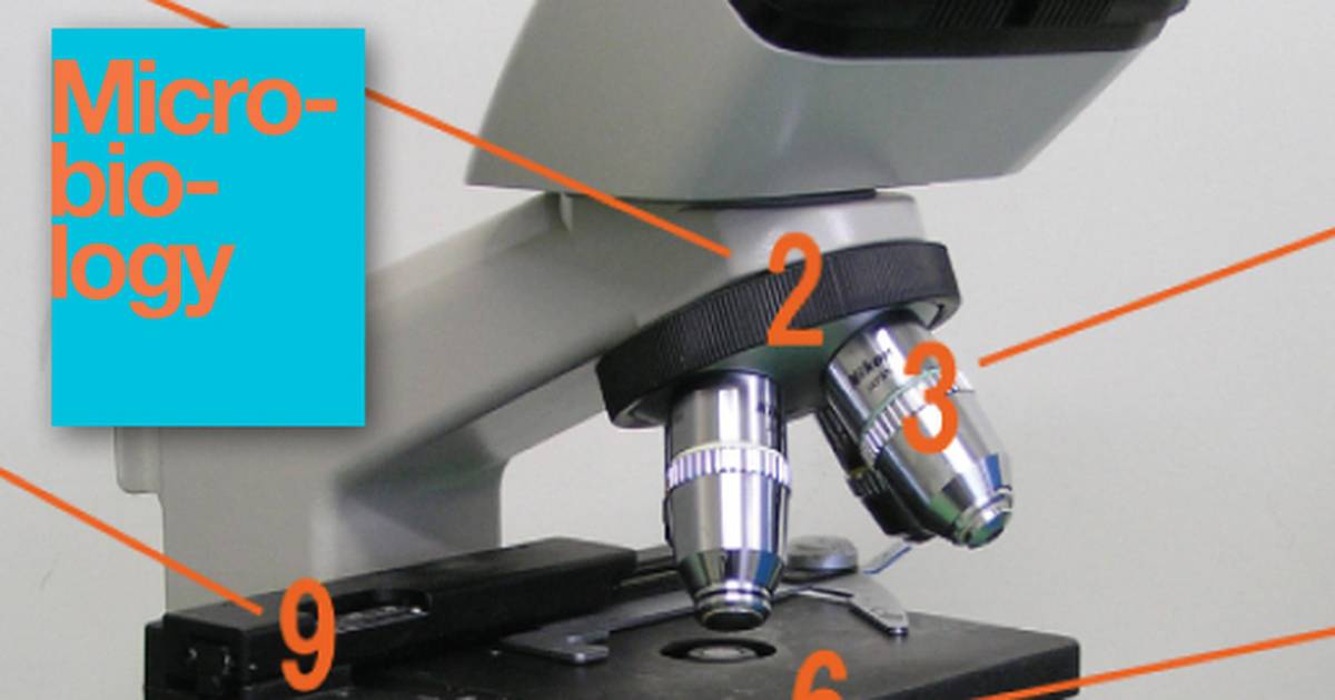 Staining Microscopic Specimens