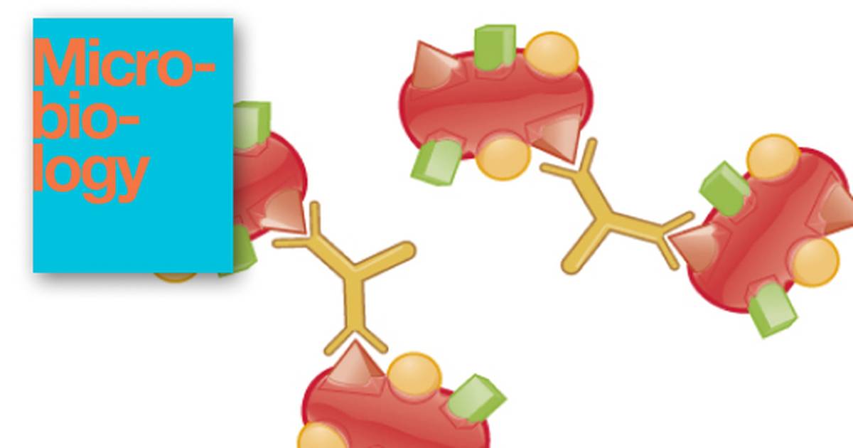 Detecting Antigen-Antibody Complexes