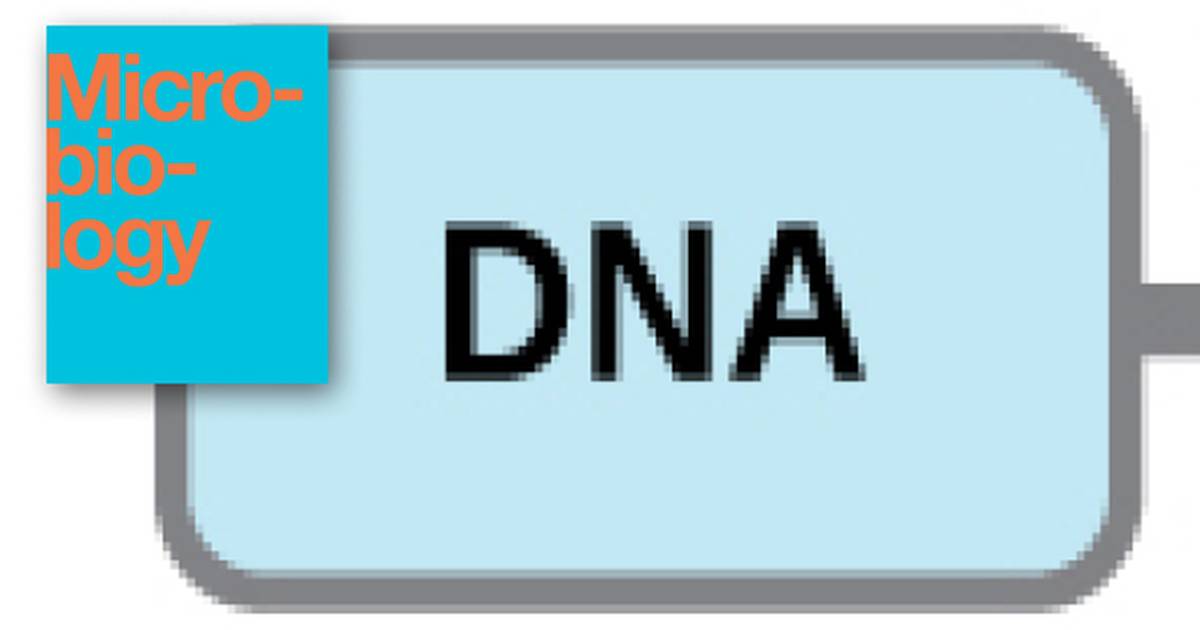 The Functions of Genetic Material