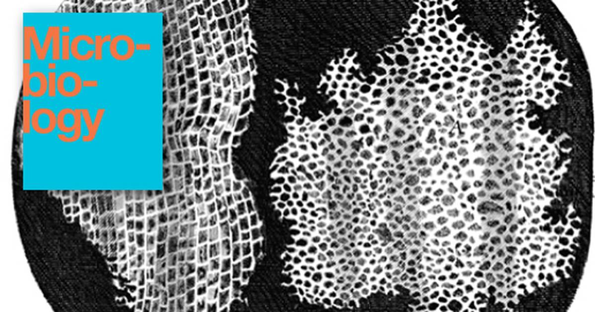 Foundations of Modern Cell Theory