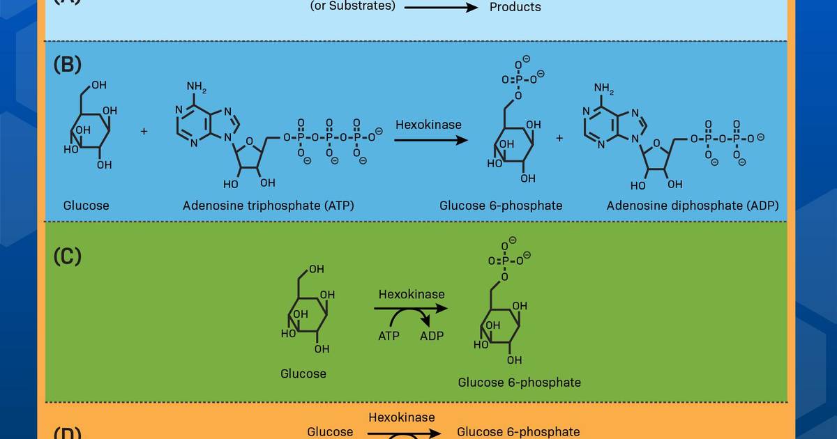 How to Interpret Biological Model Figures: Chemical reactions