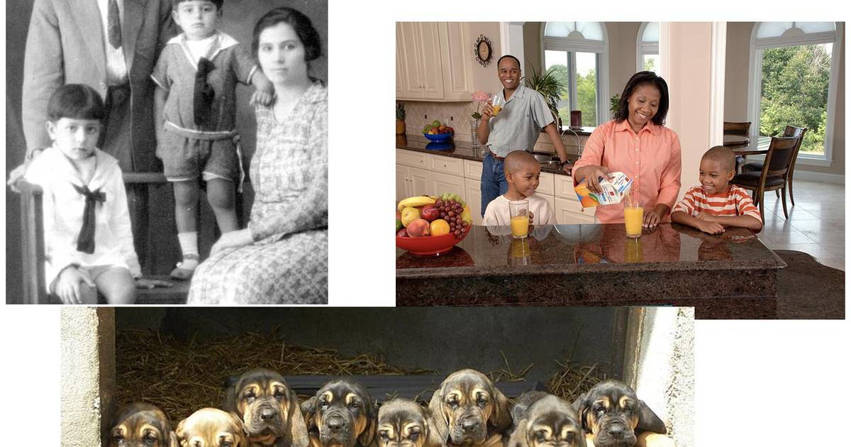 Types of Inheritance
