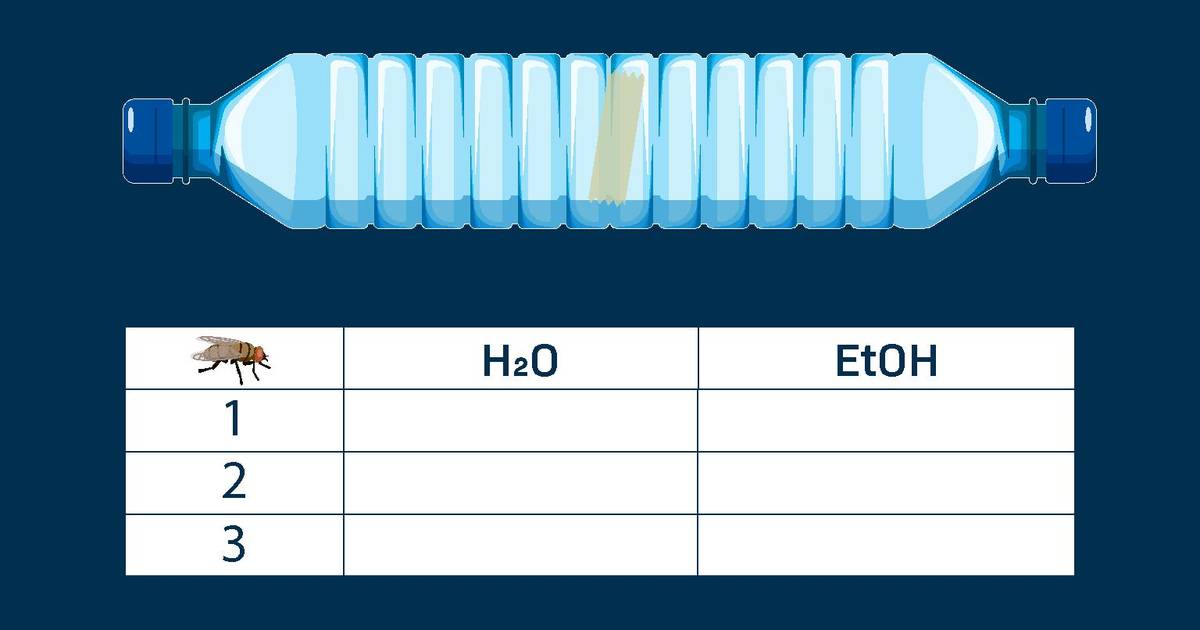 Worksheet: Histogram and Chi-Square Analysis of Chemotaxis Data
