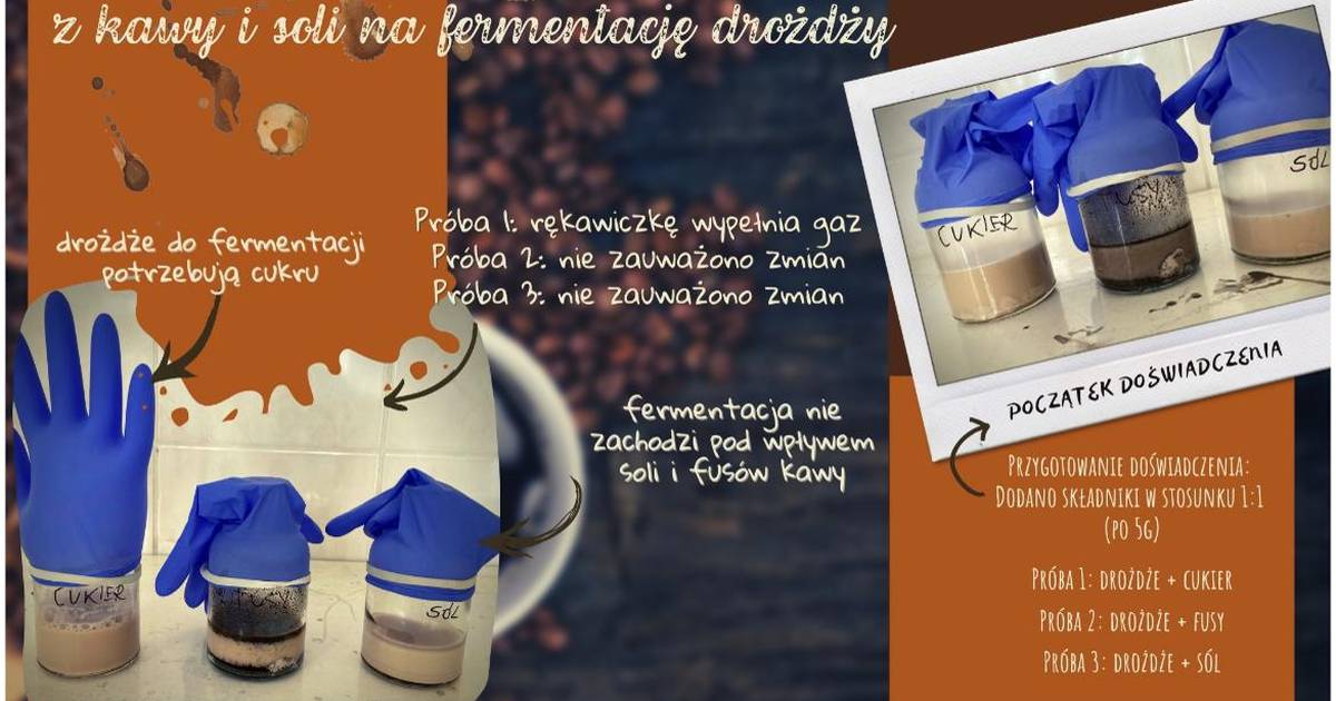 MOOCne inspiracje - projekt z drożdżami!