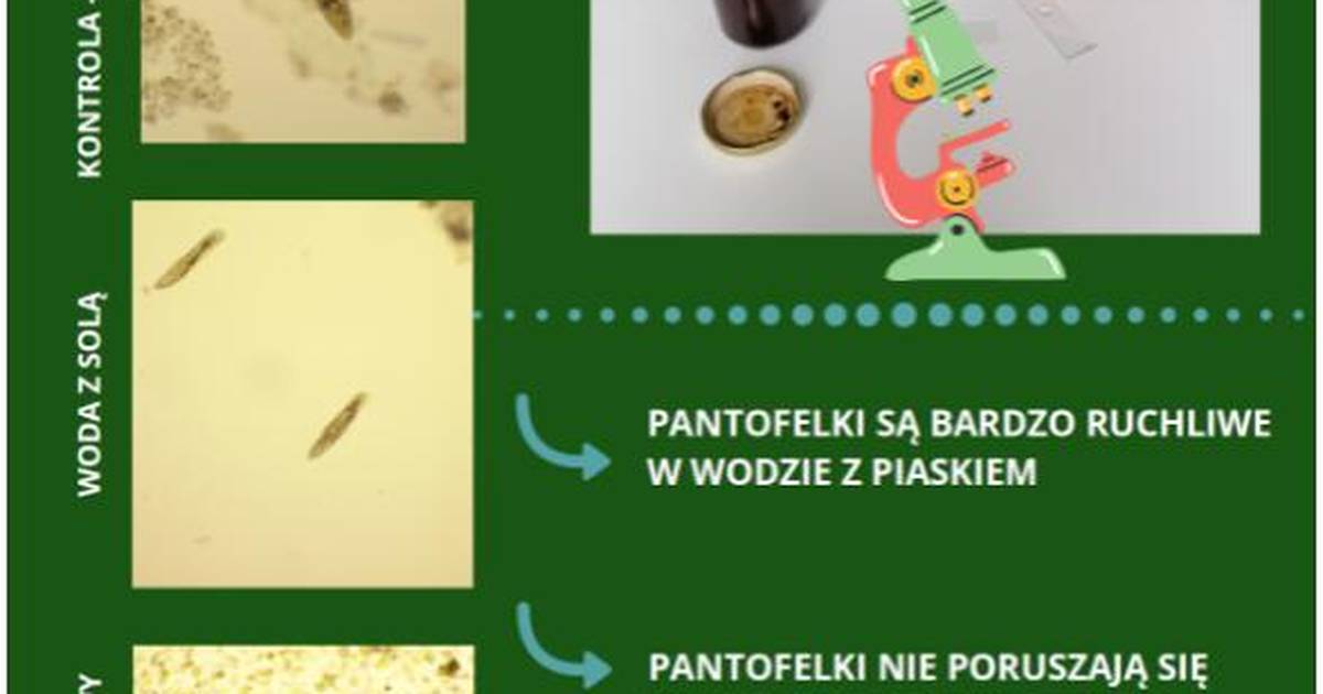 MOOCne inspiracje - wpływ roztworów soli, piasku i fusów kawy na organizmy!
