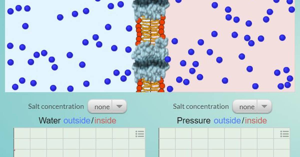 Osmosis, Equilibrium, and Osmotic Pressure