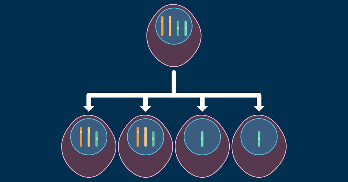 Nondisjunction in Meiosis