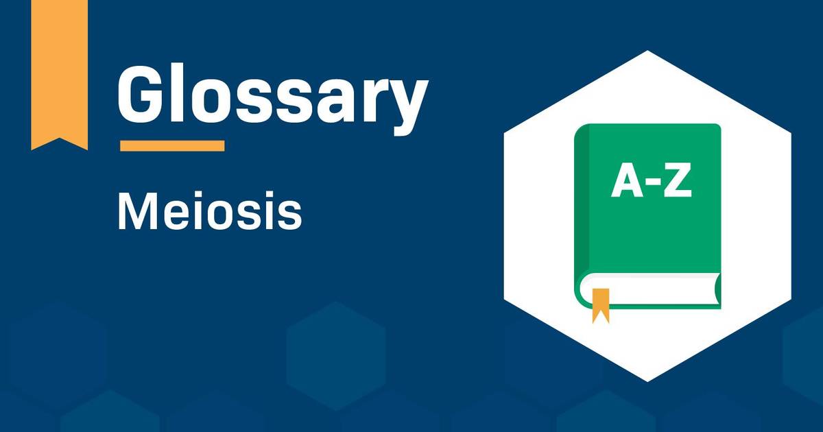 Glossary: Meiosis