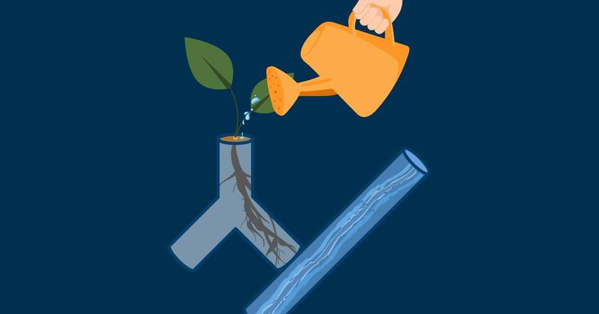 Smart Plants: Test the Hypothesis (Annotated)