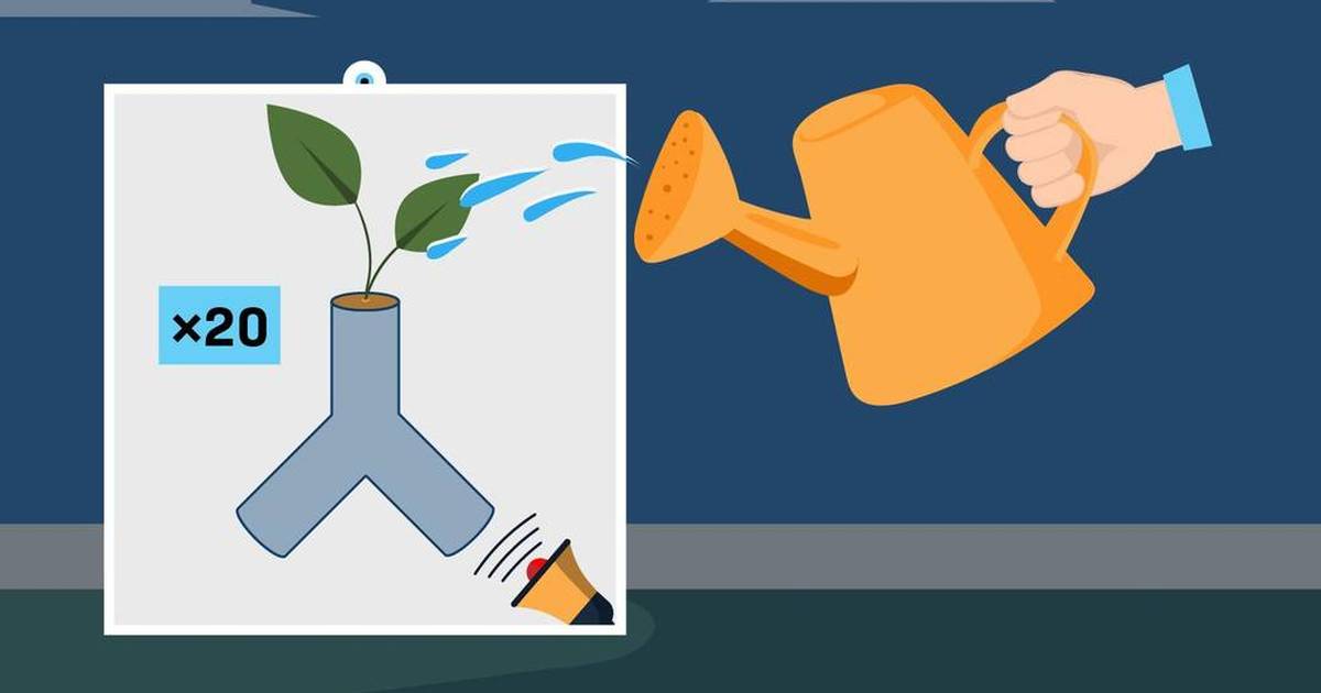 Smart Plants: Conducting a New Experiment (Annotated)