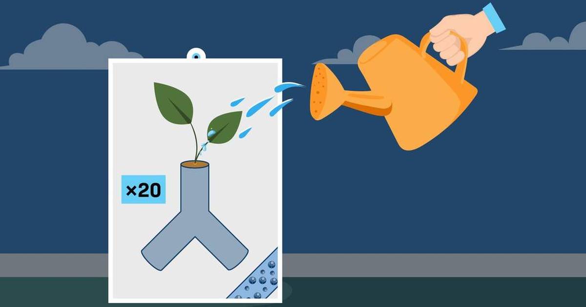 Smart Plants: Analyzing the Results (Annotated)