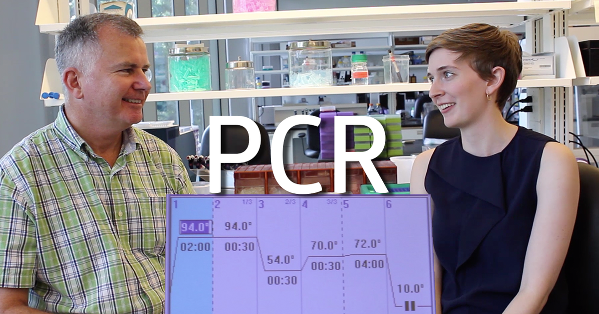 PCR & Molecular Systematics! Pt 1