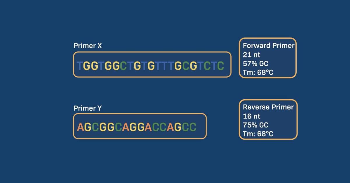PCR Primer Design