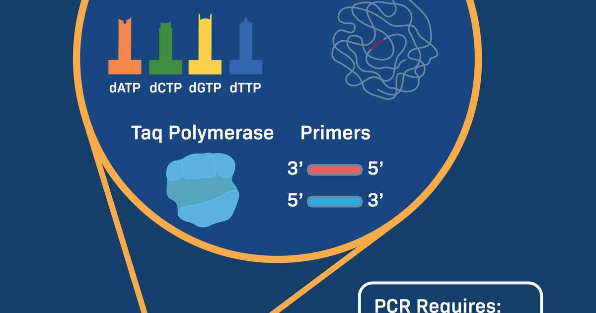 PCR Requirements