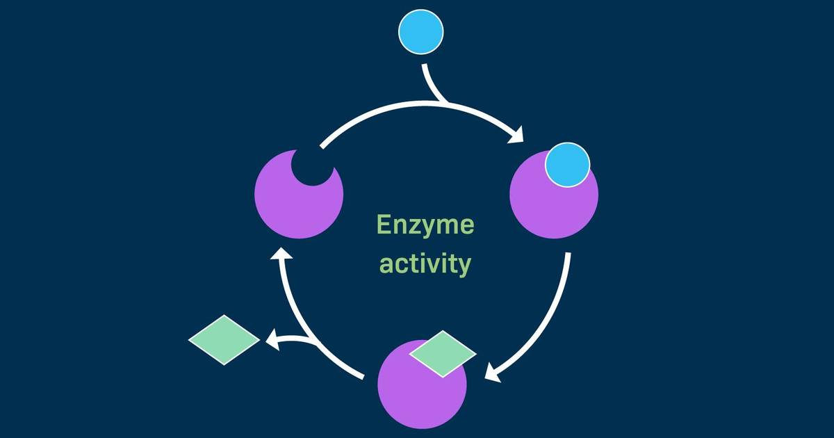Teaching Guide: Exploring the Effect of pH on Enzyme Activity
