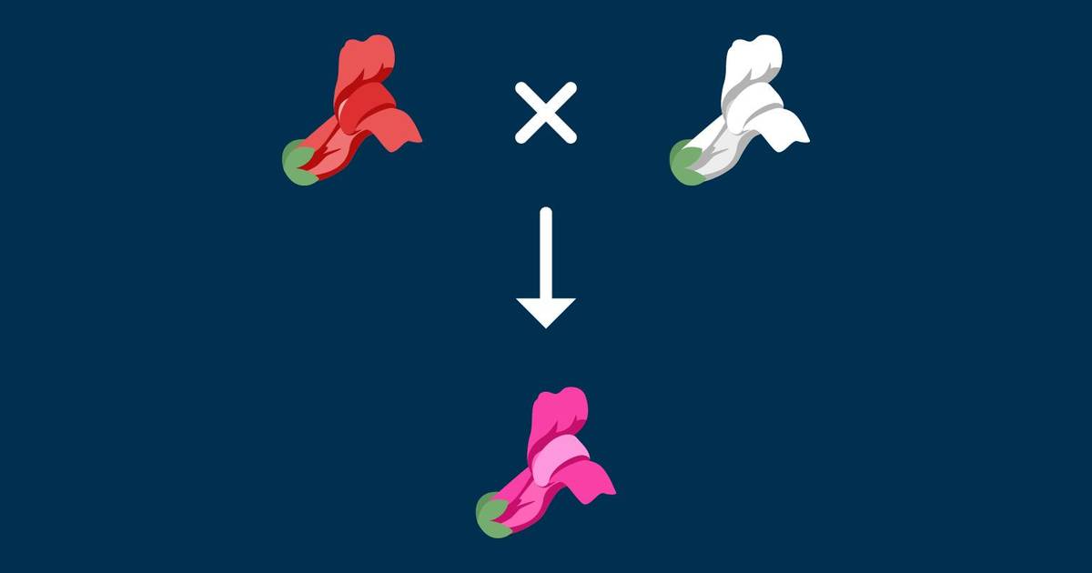 One Gene, Multiple Factors