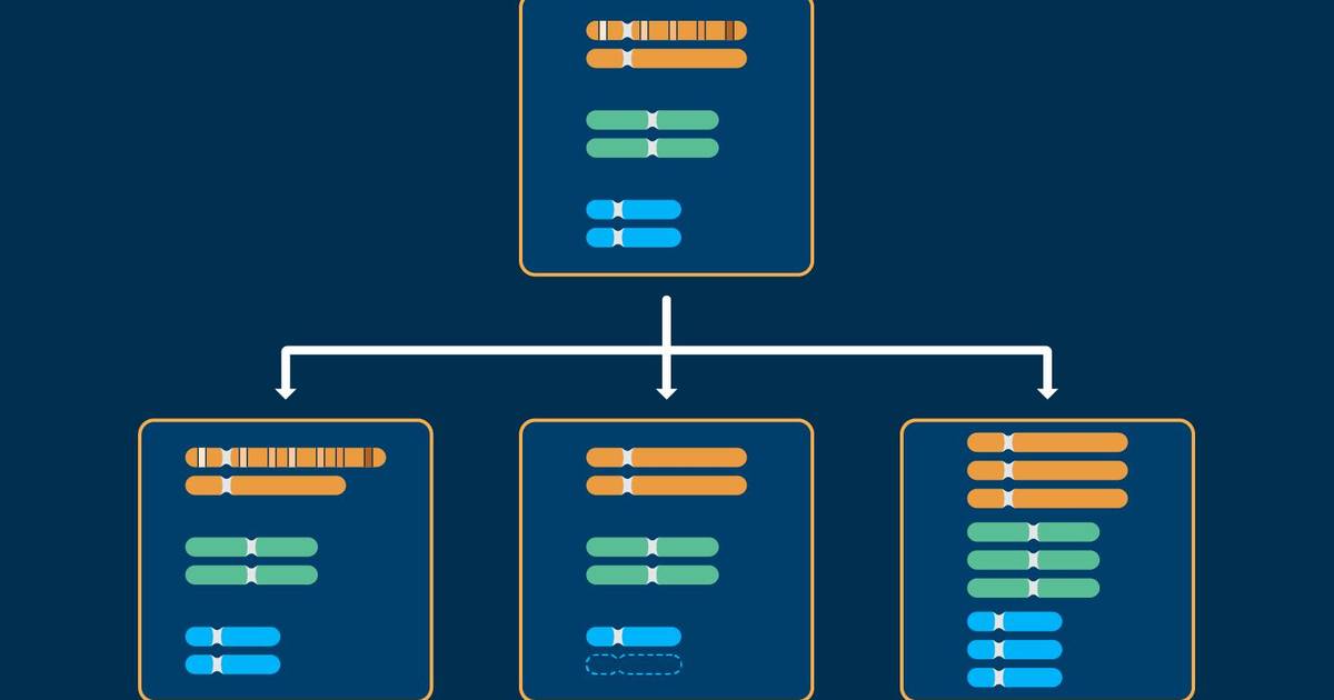 Chromosome Variation