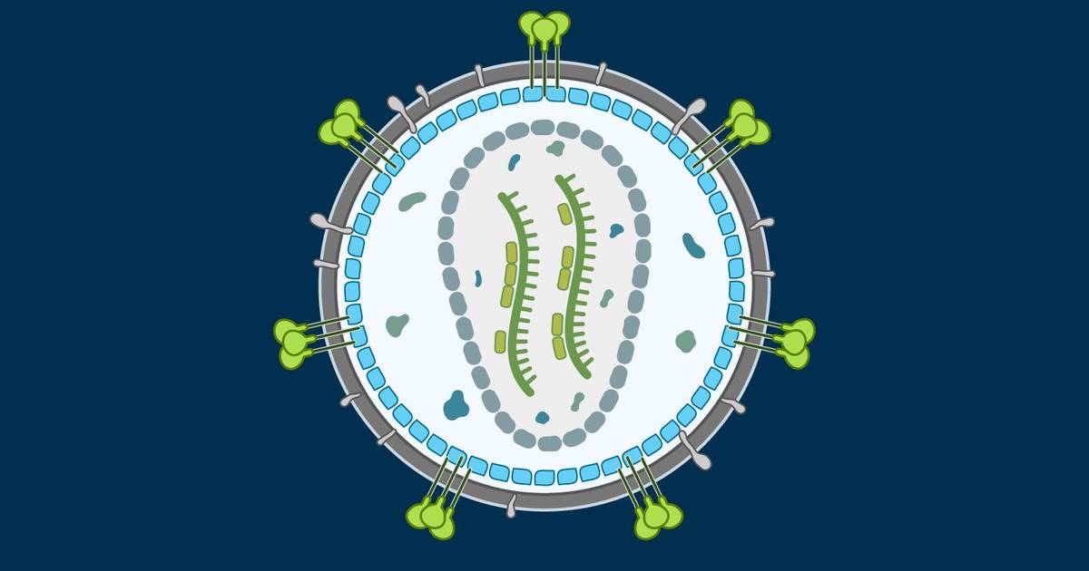 Viral Chromosomes