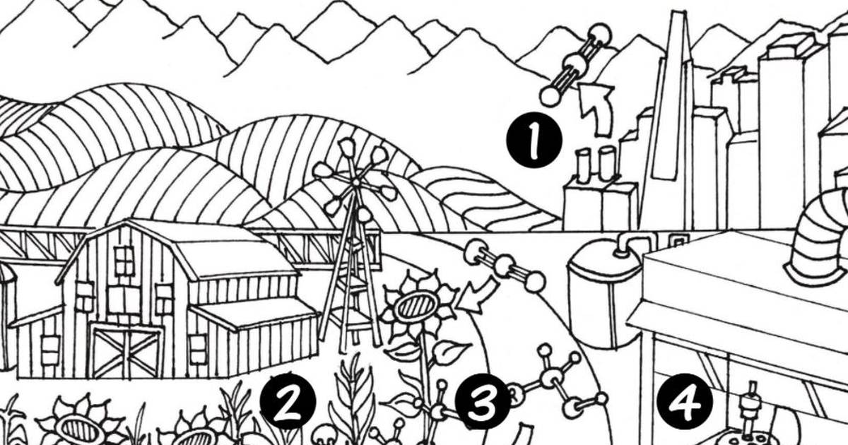 Plant Waste to Sustainable Fuels